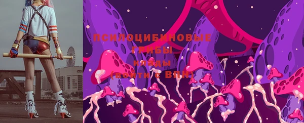 гашик Кукмор